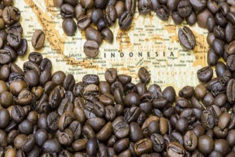 دانه قهوه روبوستا  اندونزی