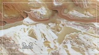 تراونیکس یزد