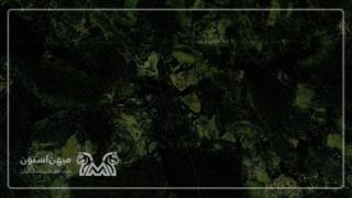 گرانیت جنگلی بیرجند