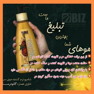 شامپو نرم کنندهموی سر گانودرما
