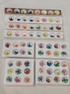 گلخشک زیورآلات رزینی