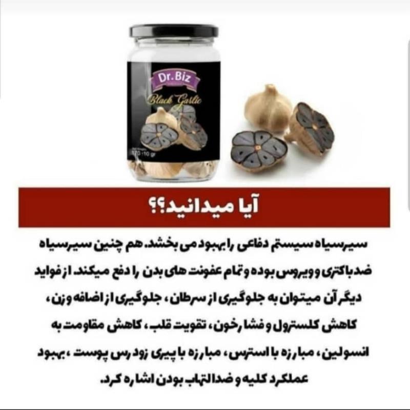 سیر سیاه