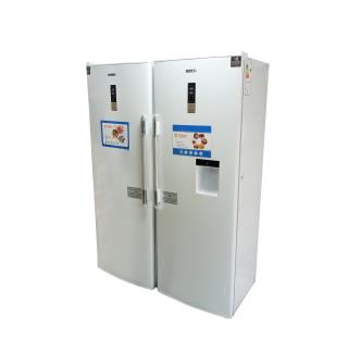 یخچال و فریزر دو قلو گالان