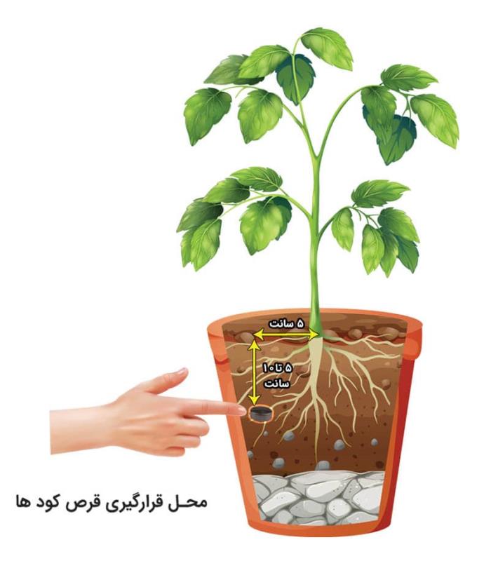 قرص کود ۱۲۰ عددی BIZ