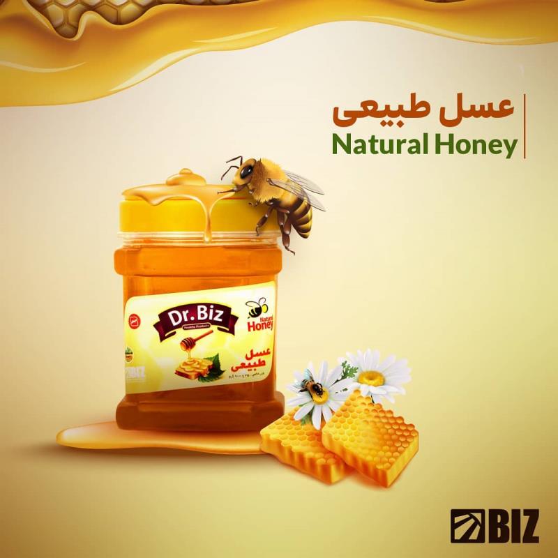 عسل استاندارد ۵۰۰ گرمی Dr.BIZ