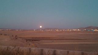 خمیر دندان گیاهی