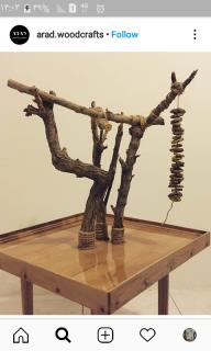 انواع سازه های چوبی