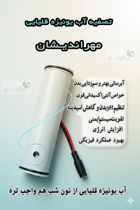 دستگاه تصفيه آب يونيزه قلياي پرتابل مهرانديشان