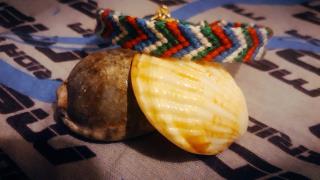 دستبند دوستی