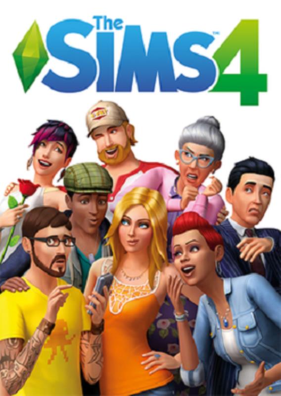 ۴ The SIMS