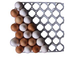 شانه 42 عددی پارس