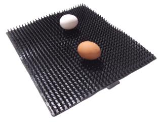 بستر مرغ تخم گذار پارس