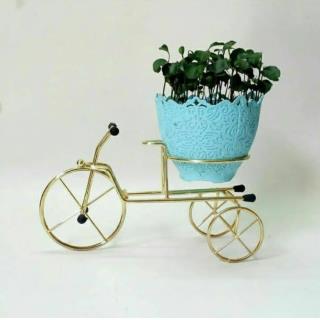 دوچرخه مدل گلدان