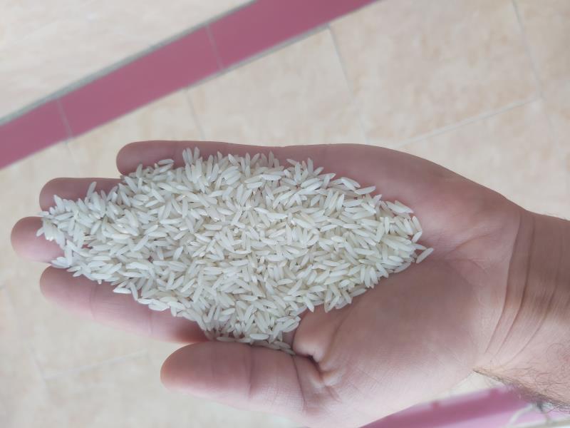برنج کشت دوم سوپر ویژه