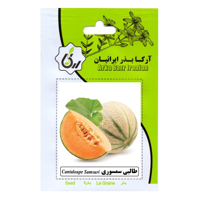 بذر طالبی سمسوری