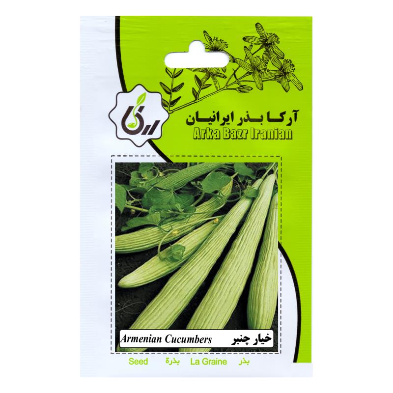 بذر خیار چنبر