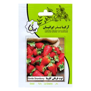 بذر توت فرنگی گاویتا