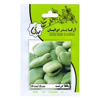 بذر باقلا درشت