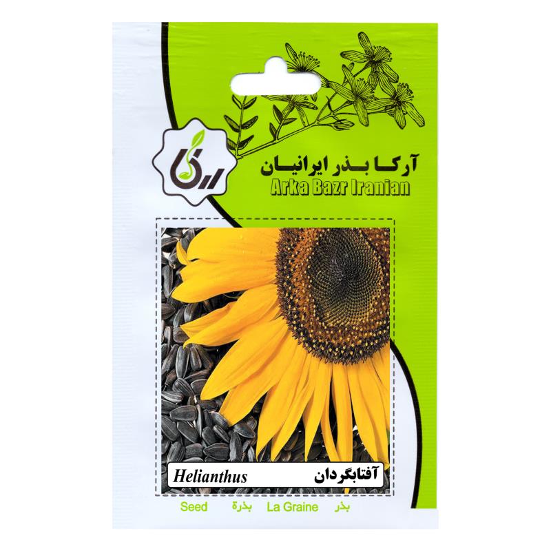 بذر آفتابگردان