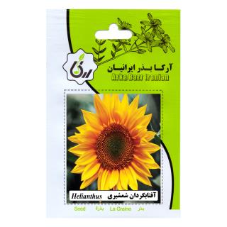 بذر آفتابگردان شمشیری