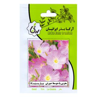 بذر مغربی پا متوسط صورتی