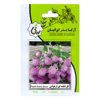 بذر گل تکمه ای ارغوانی