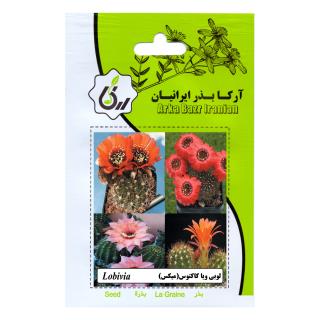 بذر لوبی ویا کاکتوس (میکس)