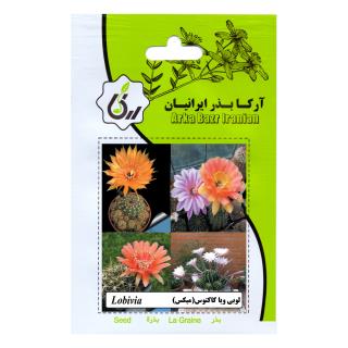 بذر لوبی ویا کاکتوس (میکس)