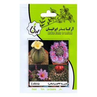 بذر لوبی ویا کاکتوس (میکس)