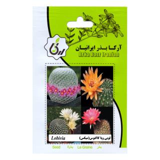 بذر لوبی ویا کاکتوس (میکس)