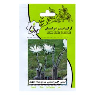 بذر سیتی چینو پسیس