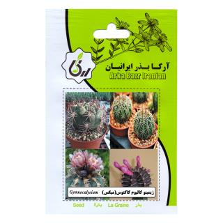 بذر ژیمینو کالیوم کاکتوس (میکس)