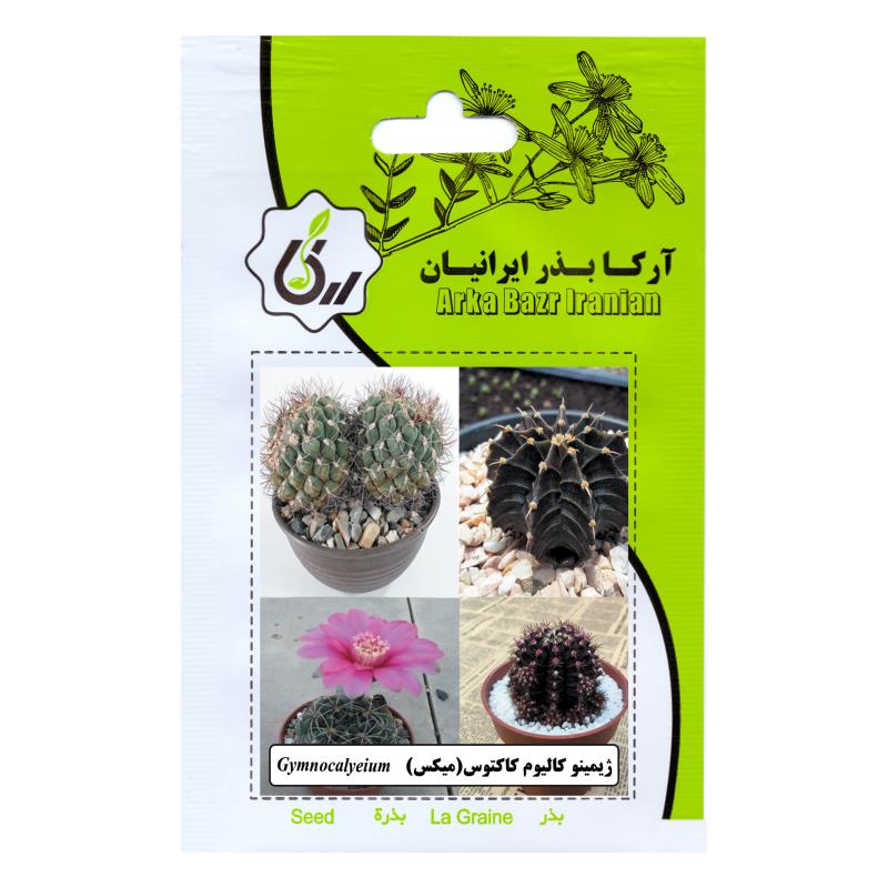 بذر ژیمینو کالیوم کاکتوس (میکس)