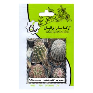 بذر اچینوسرئوس کاکتوس (میکس)