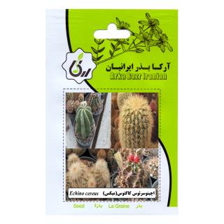 بذر اچینوسرئوس کاکتوس (میکس)