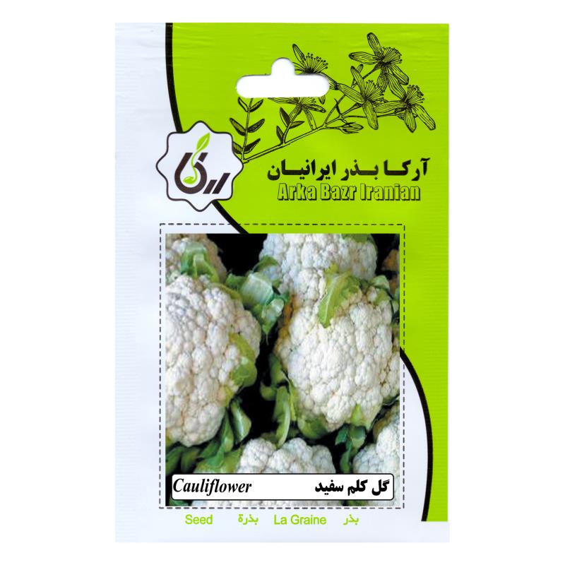 بذر گل کلم سفید