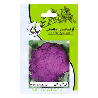 بذر گل کلم بنفش