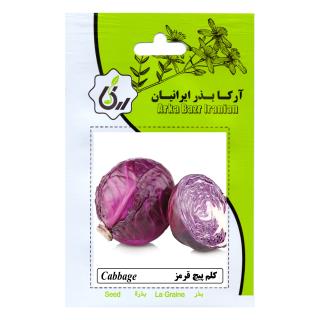 بذر کلم پیچ قرمز