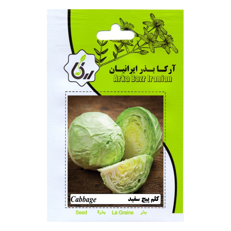 بذر کلم پیچ سفید