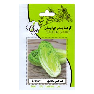 بذر کاهو سالادی