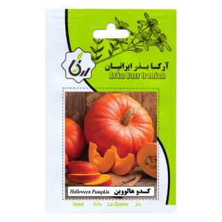 بذر کدو هالووین