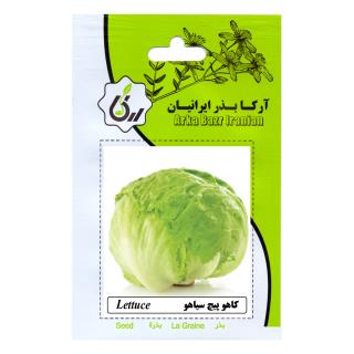 بذر کاهو پیچ سیاهو