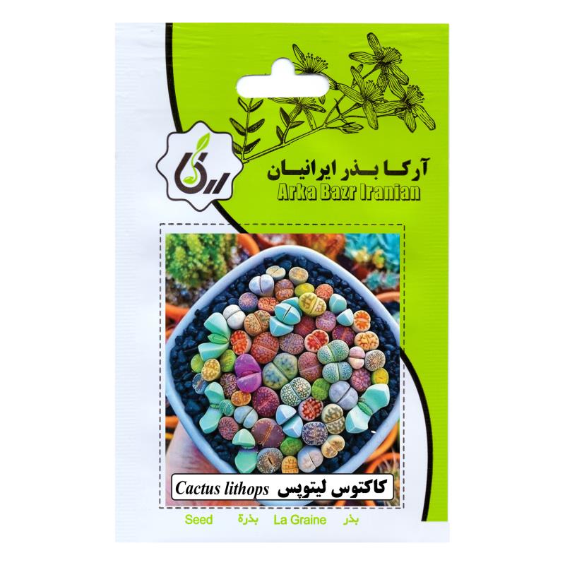 بذر کاکتوس لیتوپس