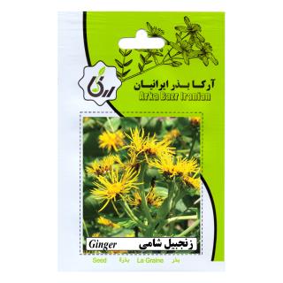 بذر زنجبیل شامی