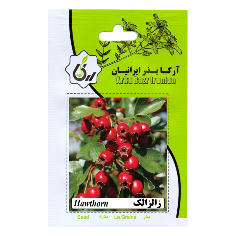 بذر زالزالک
