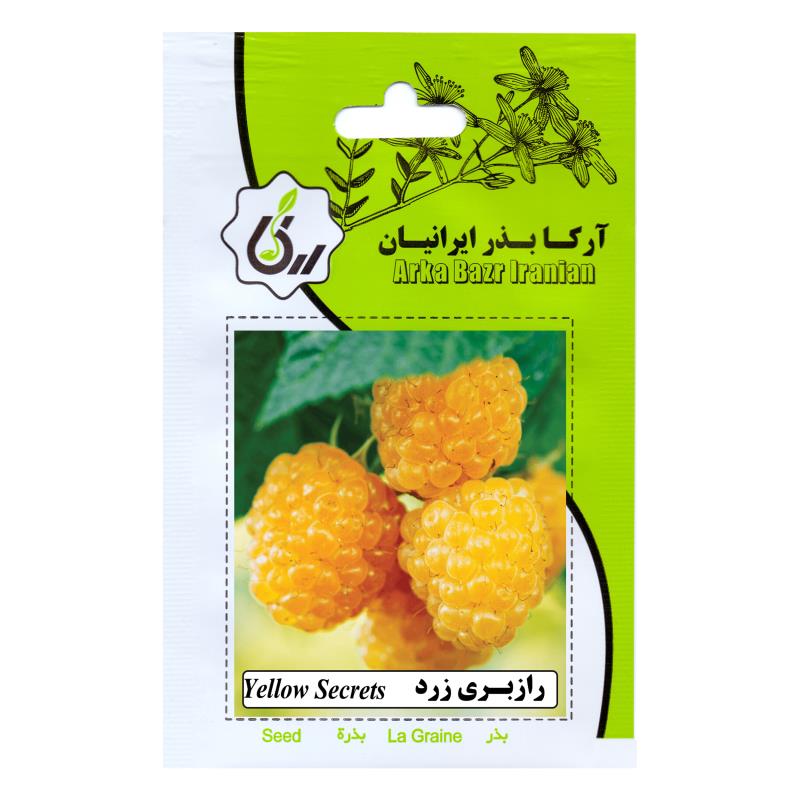 بذر رازبری زرد