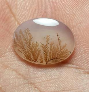 عقیق شجر طبیعی بسیار خوش نقش