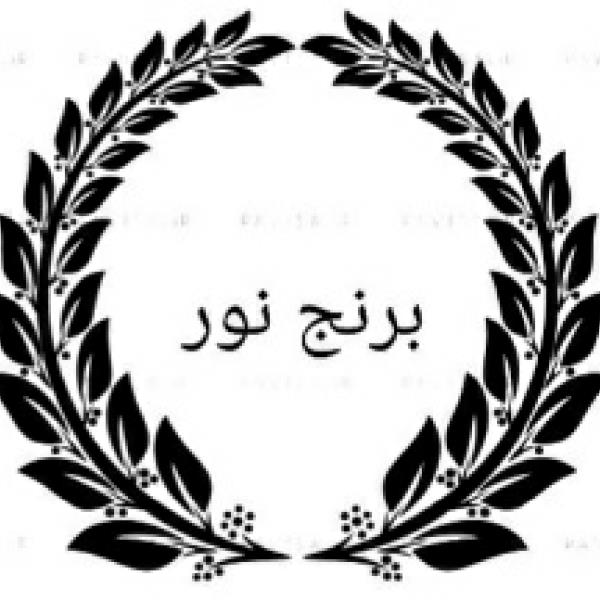 لوگوی برنج نور