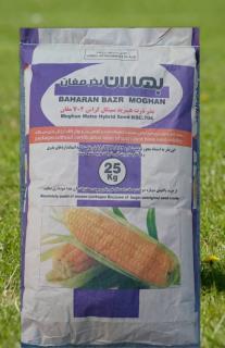 ذرت بذری ۷۰۴ مغان (25 کیلویی)