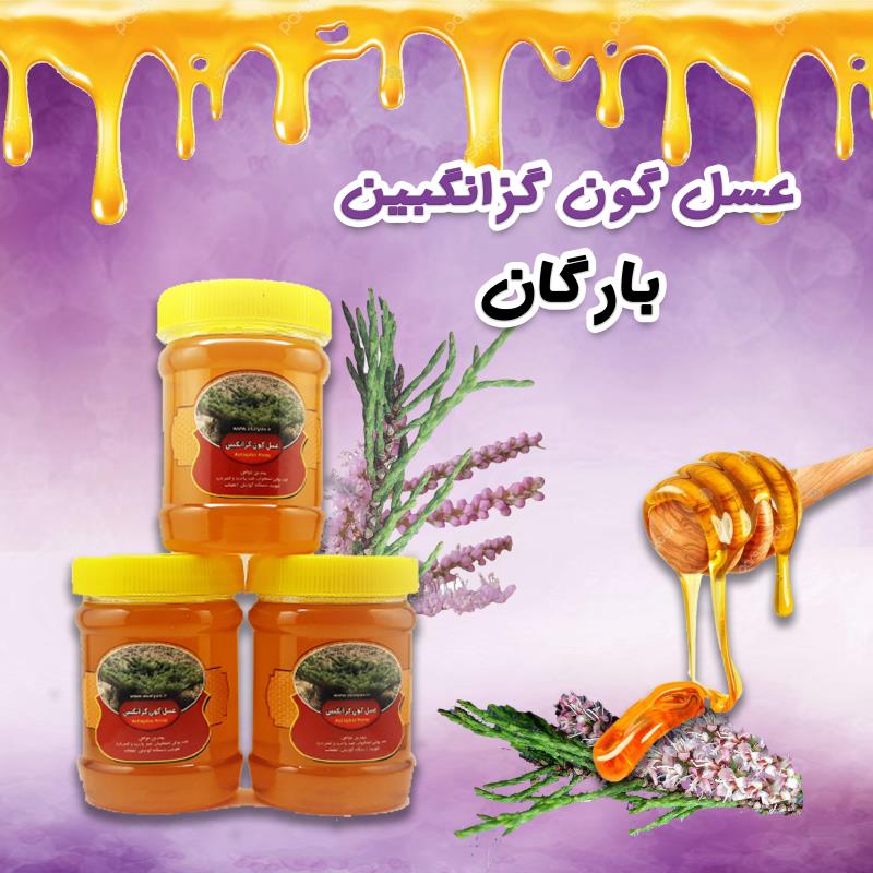 عسل گزانگبین بارگان (یک کیلویی)